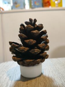 ペットボトルのふたに松ぼっくりをつける